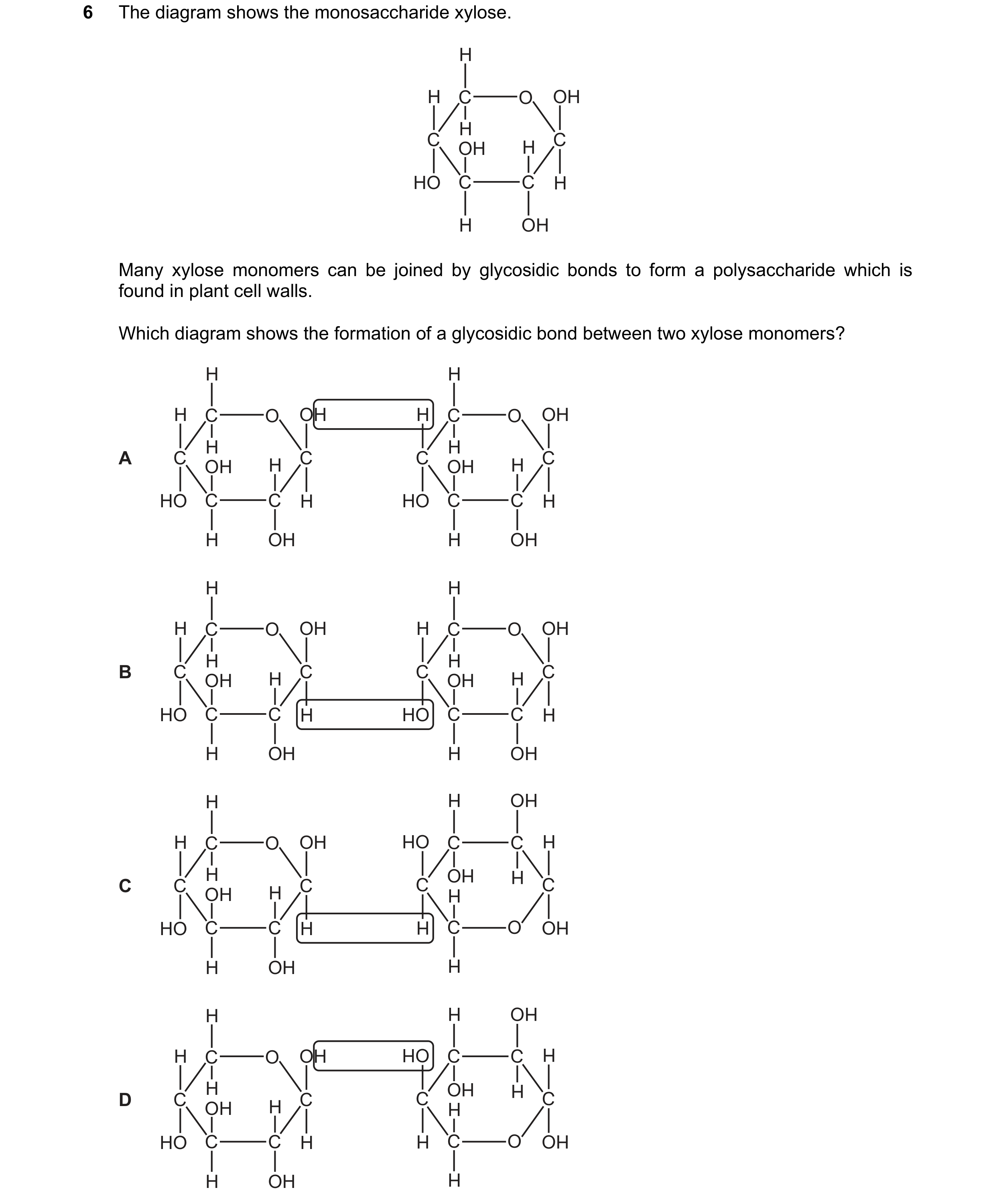 Question 214: The diagram shows the monosaccharide xylose. H H C O OH H C H C OH HO C C H H OH Many xylose monomers can be joined by glycosidic bonds to …