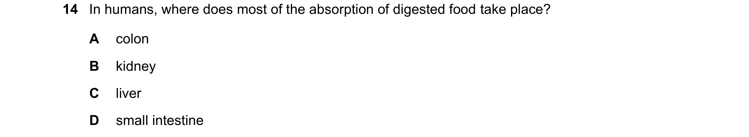 Question 7: In humans, where does most of the absorption of digested food take place? A colon B kidney C liver D small intestine