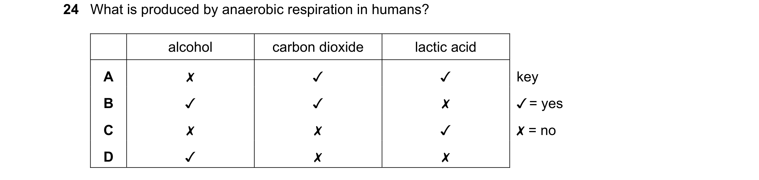 Question 10: What is produced by anaerobic respiration in humans?
alcohol carbon dioxide lactic acid
A x Jv Jv key
B Jv Jv x /=yes
Cc x x v X=no
D v x x