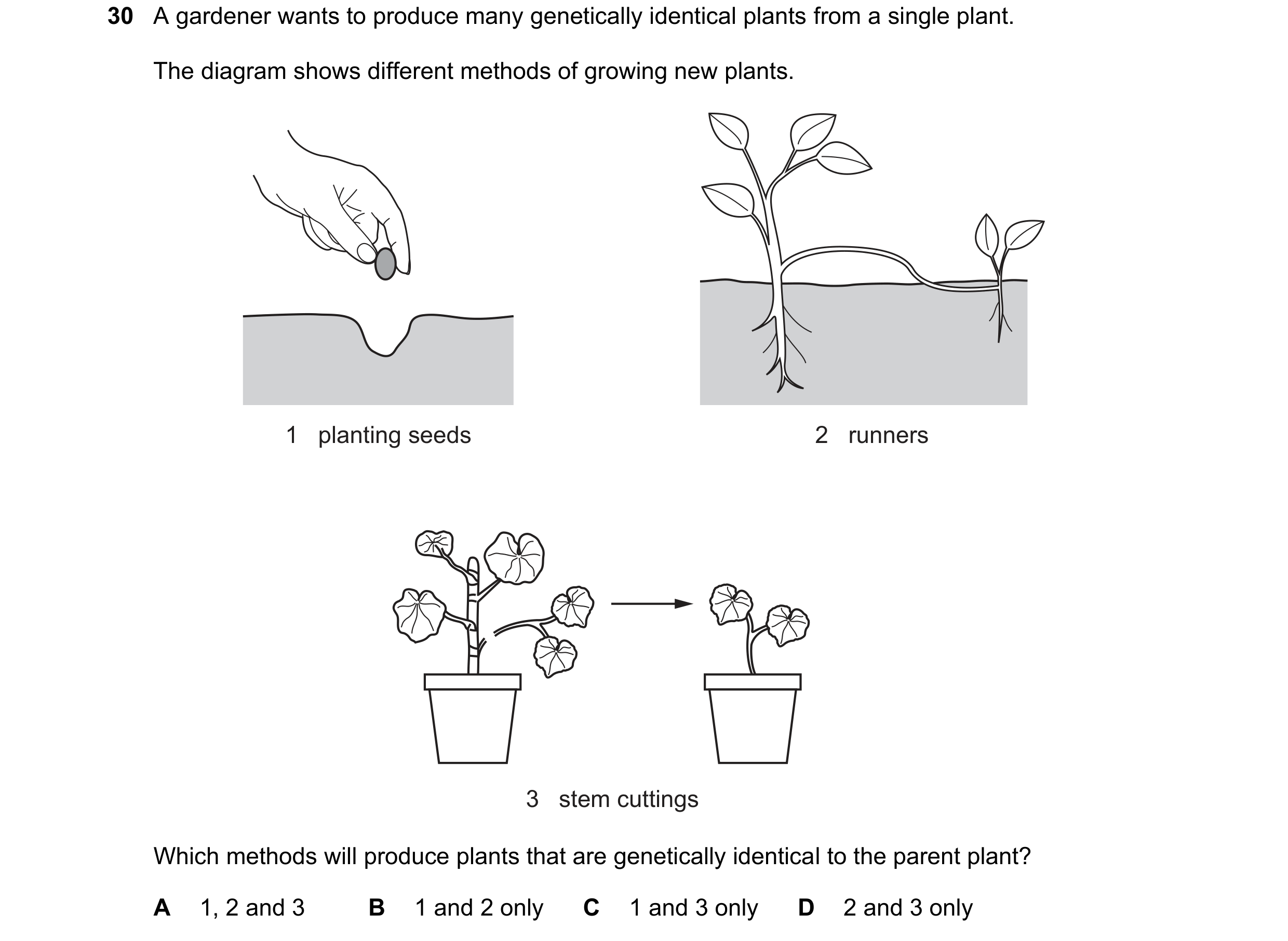 Question 9: A gardener wants to produce many genetically identical plants from a single plant. The diagram shows different methods of growing new plant…
