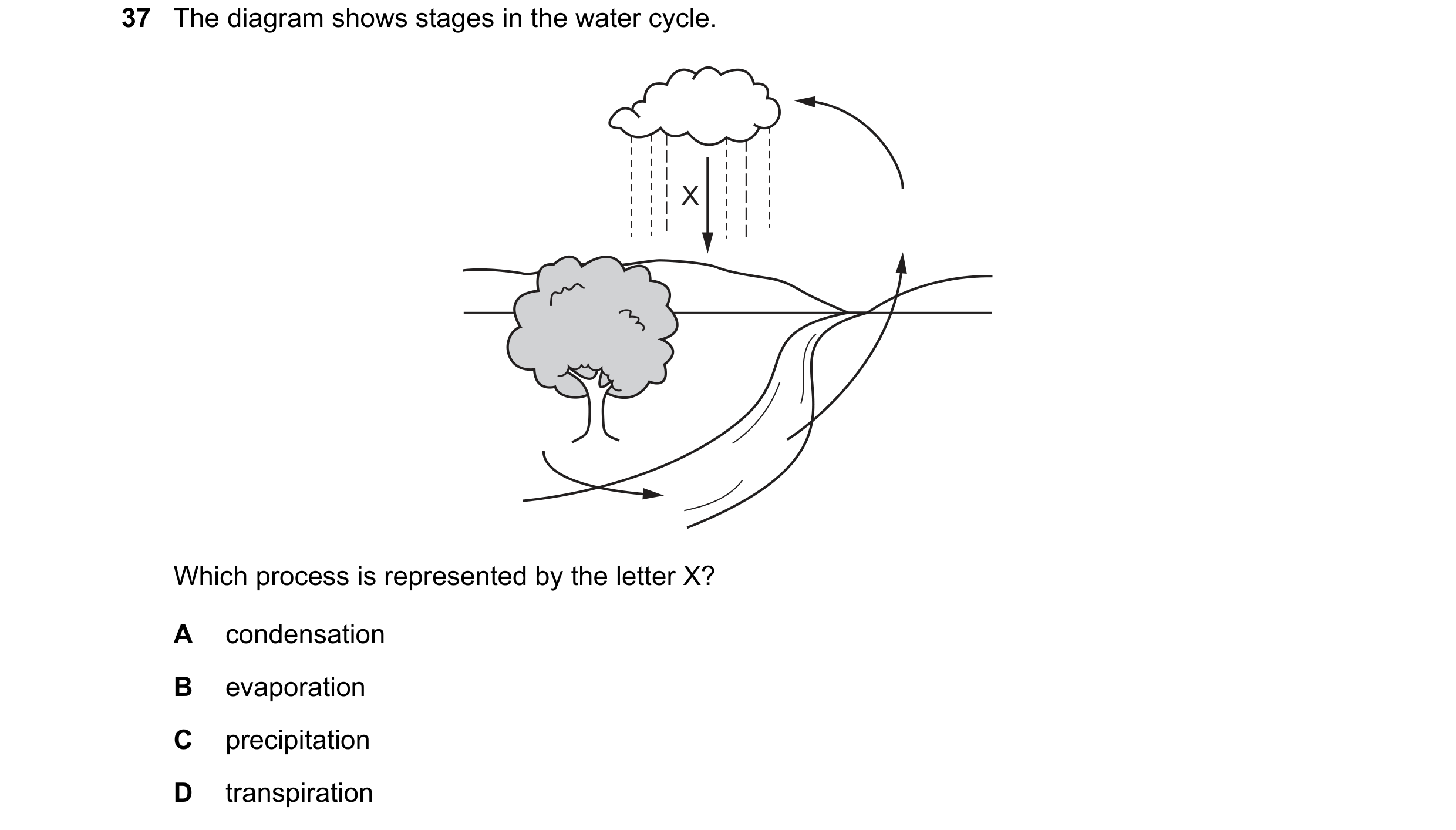 Question 4: The diagram shows stages in the water cycle. X Which process is represented by the letter X? A condensation B evaporation C precipitation D…