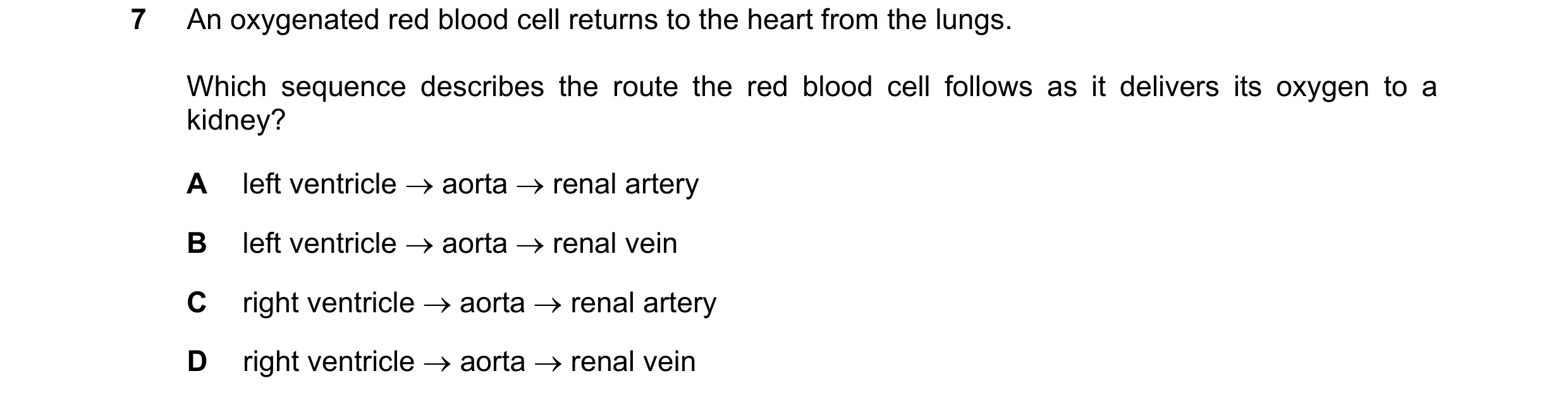 Question 15: An oxygenated red blood cell returns to the heart from the lungs. Which sequence describes the route the red blood cell follows as it deliv…