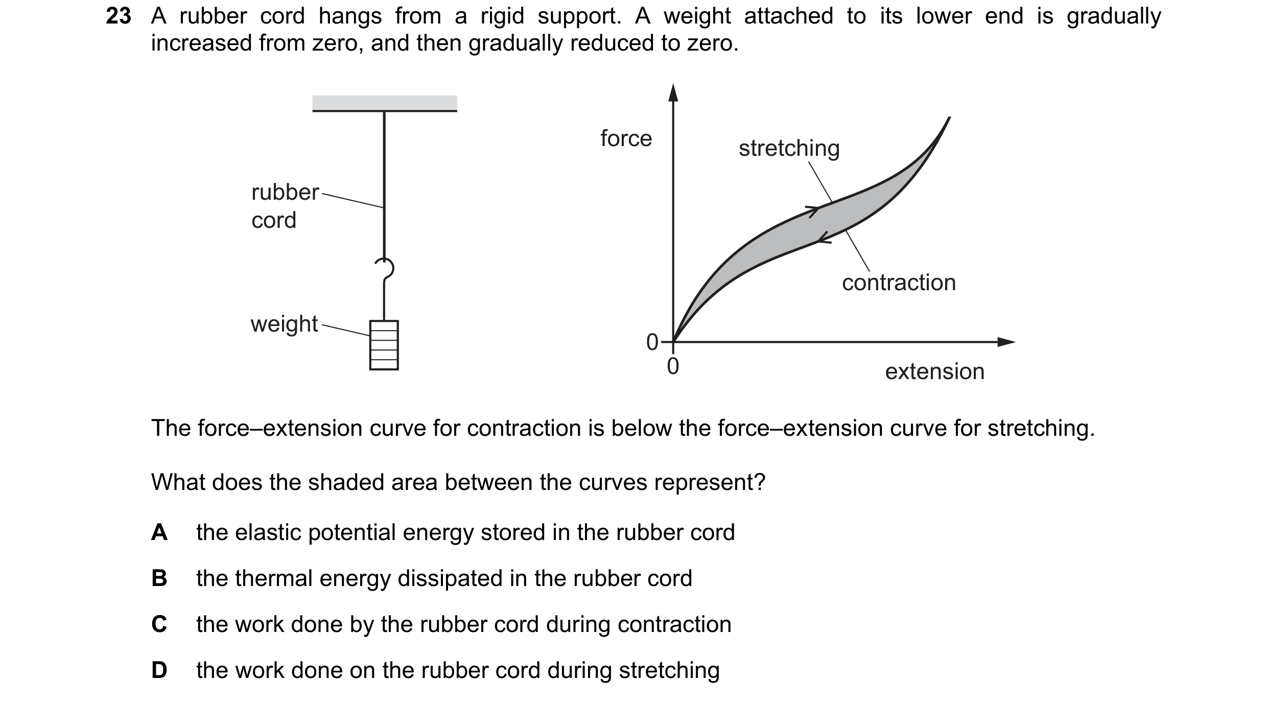 Question 140: A rubber cord hangs from a rigid support. A weight attached to its lower end is gradually increased from zero, and then gradually reduced t…