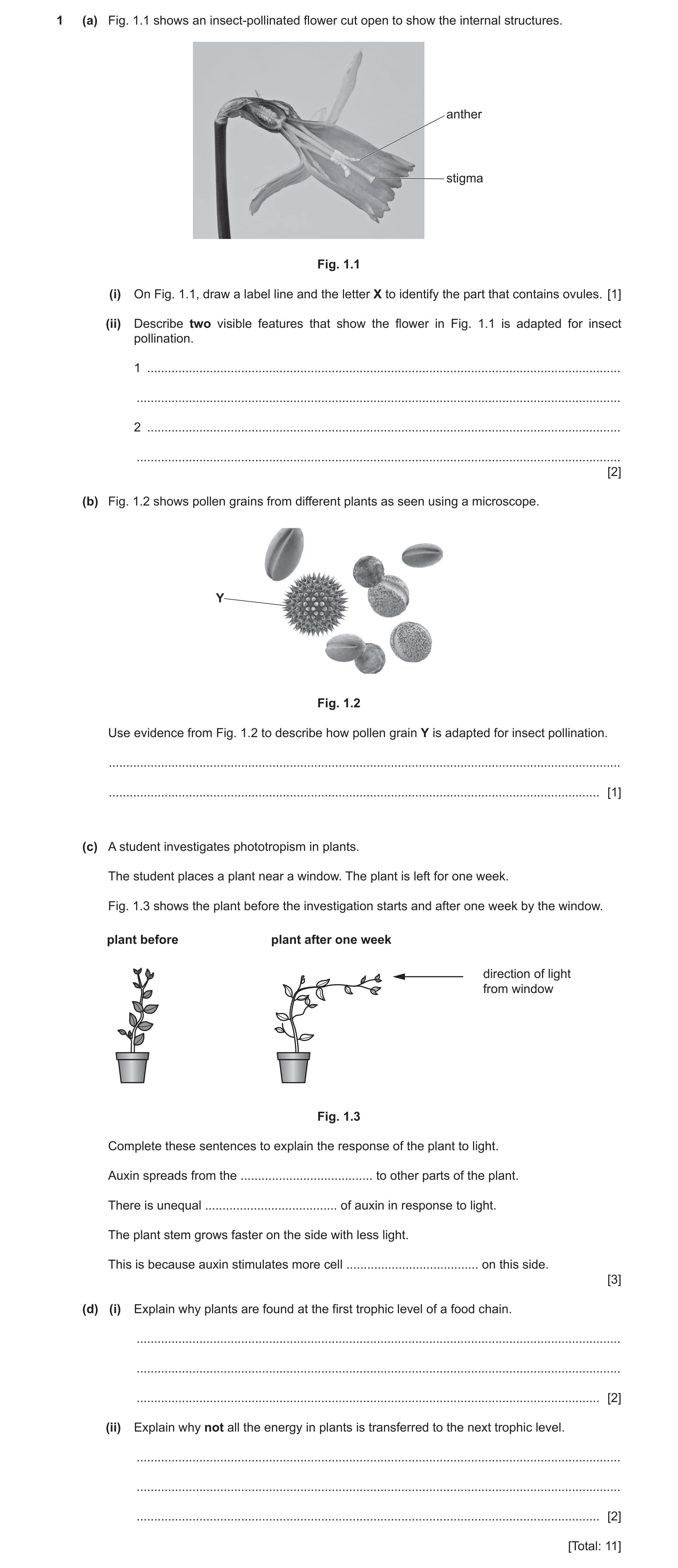 Question 8: (a) Fig. 1.1 shows an insect-pollinated flower cut open to show the internal structures. anther stigma Fig. 1.1 (i) On Fig. 1.1, draw a lab…