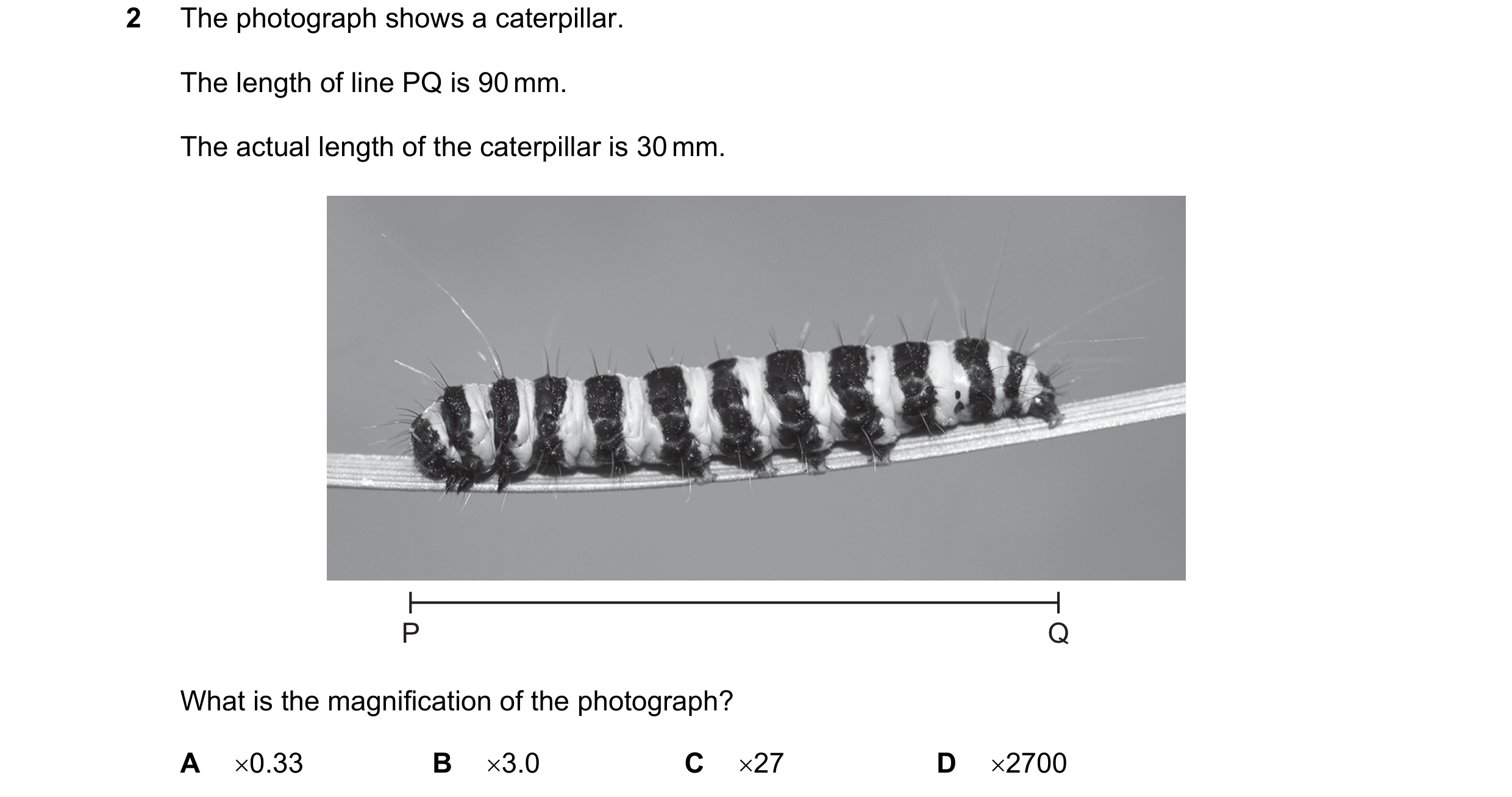 Question 10: The photograph shows a caterpillar. The length of line PQ is 90 mm. The actual length of the caterpillar is 30 mm. P Q What is the magnific…