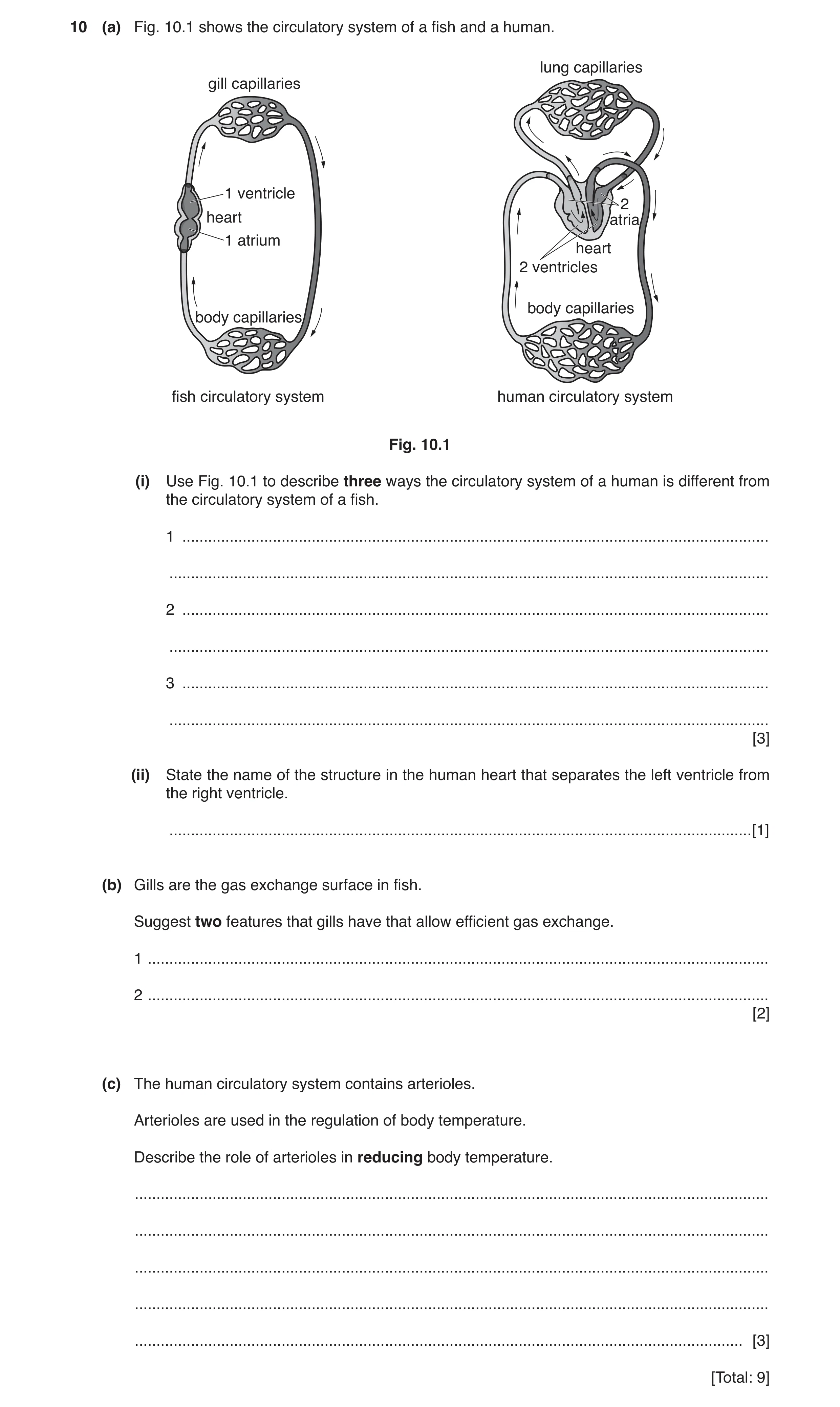 Question 5: (a) Fig. 10.1 shows the circulatory system of a fish and a human. lung capillaries gill capillaries 1 ventricle 2 heart atria 1 atrium hear…