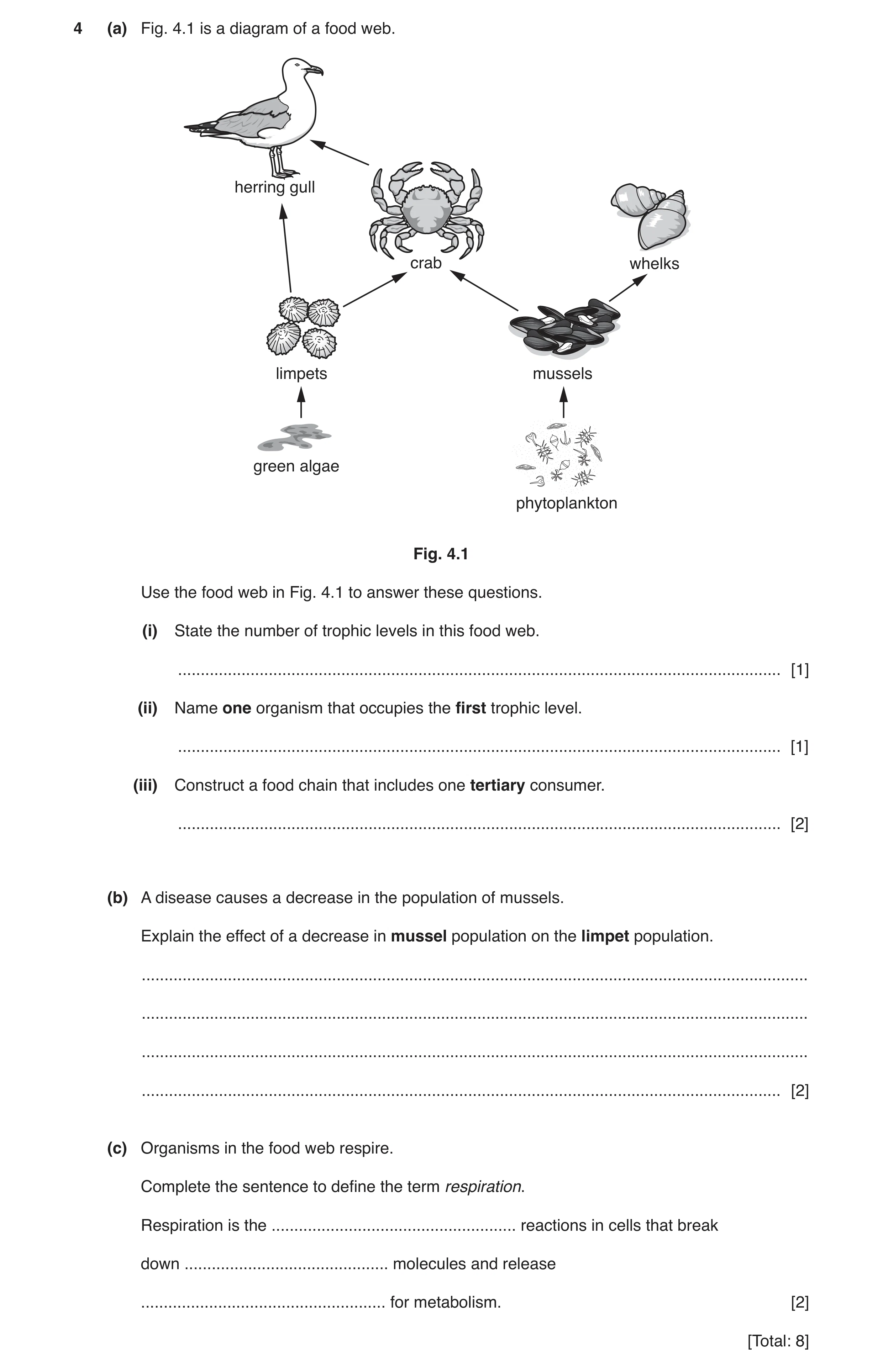Question 9: (a) Fig. 4.1 is a diagram of a food web. herring gull crab whelks limpets mussels green algae phytoplankton Fig. 4.1 Use the food web in Fi…