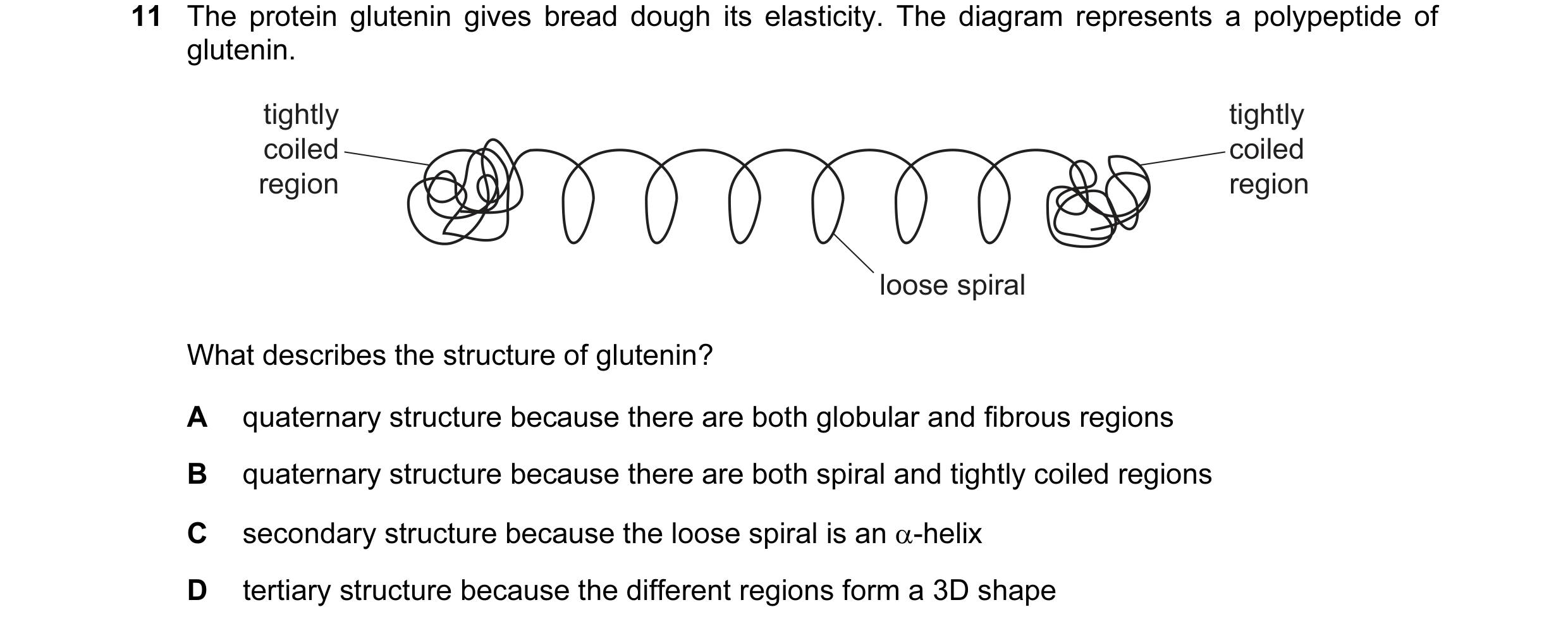 Question 95: The protein glutenin gives bread dough its elasticity. The diagram represents a polypeptide of glutenin. tightly tightly coiled coiled regi…