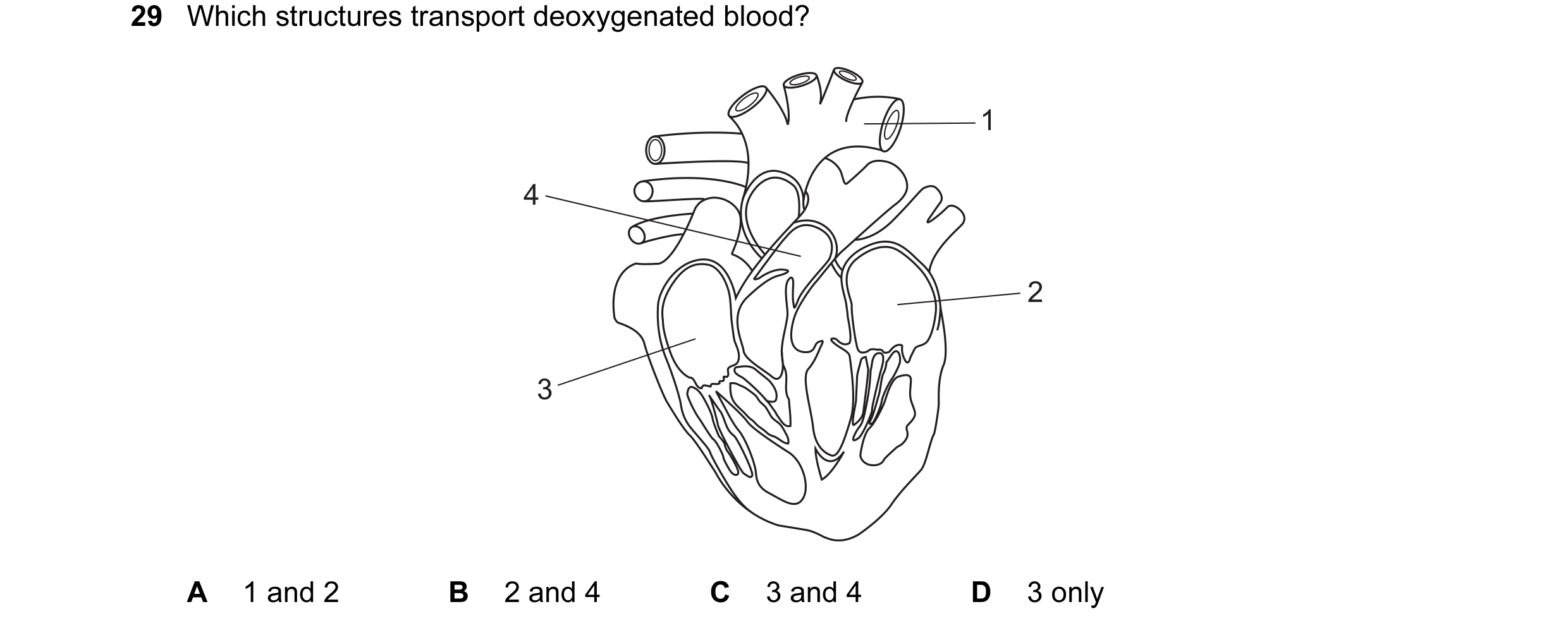 Question 53: Which structures transport deoxygenated blood? 1 4 2 3 A 1 and 2 B 2 and 4 C 3 and 4 D 3 only