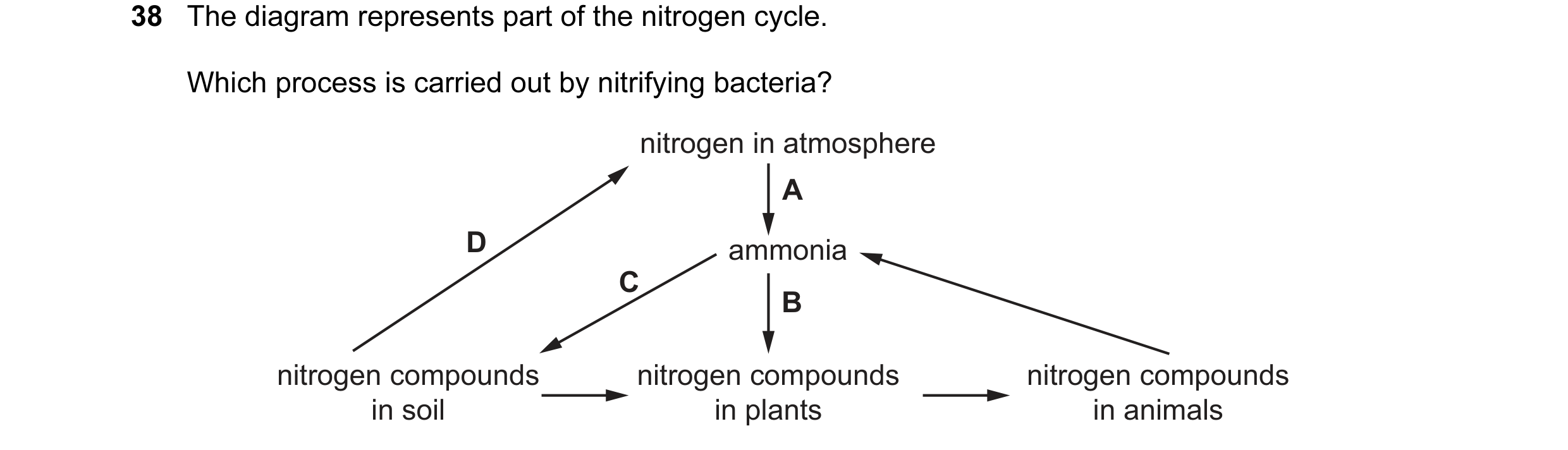 Question 62: The diagram represents part of the nitrogen cycle. Which process is carried out by nitrifying bacteria? nitrogen in atmosphere A D ammonia …