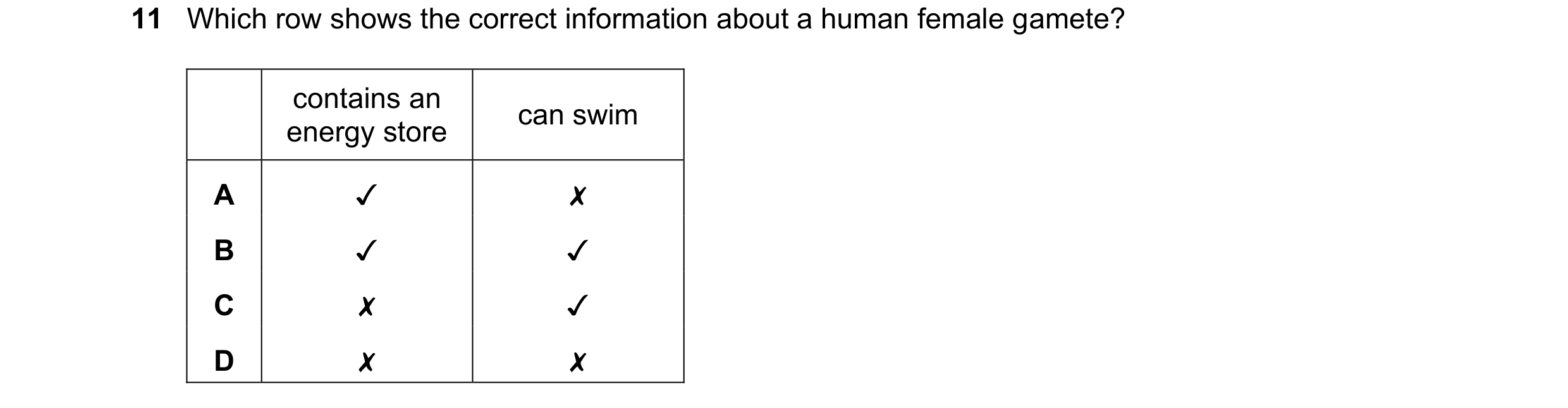Question 49: Which row shows the correct information about a human female gamete?

v x
v v
x v
x x