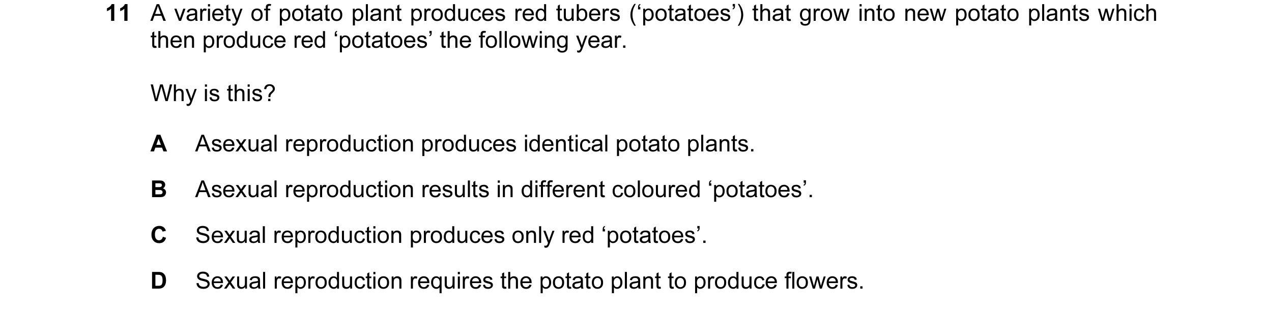 Question 19: A variety of potato plant produces red tubers (‘potatoes’) that grow into new potato plants which then produce red ‘potatoes’ the following…