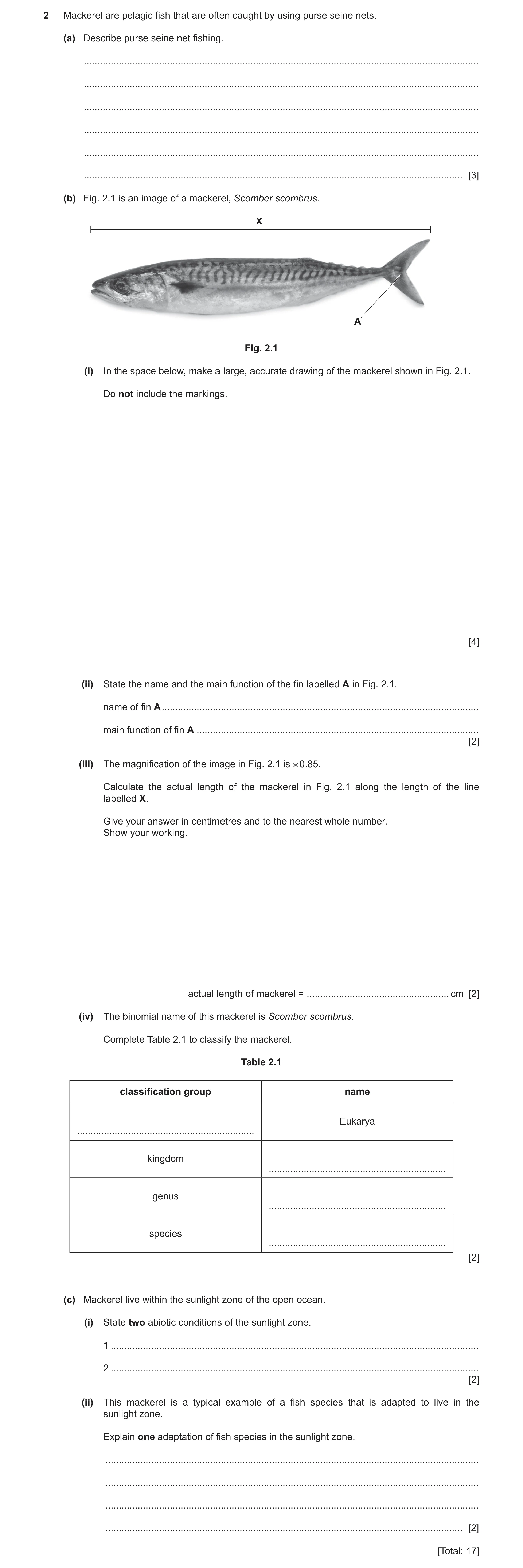 Question 10: Mackerel are pelagic fish that are often caught by using purse seine nets. (a) Describe purse seine net fishing. ..........................…
