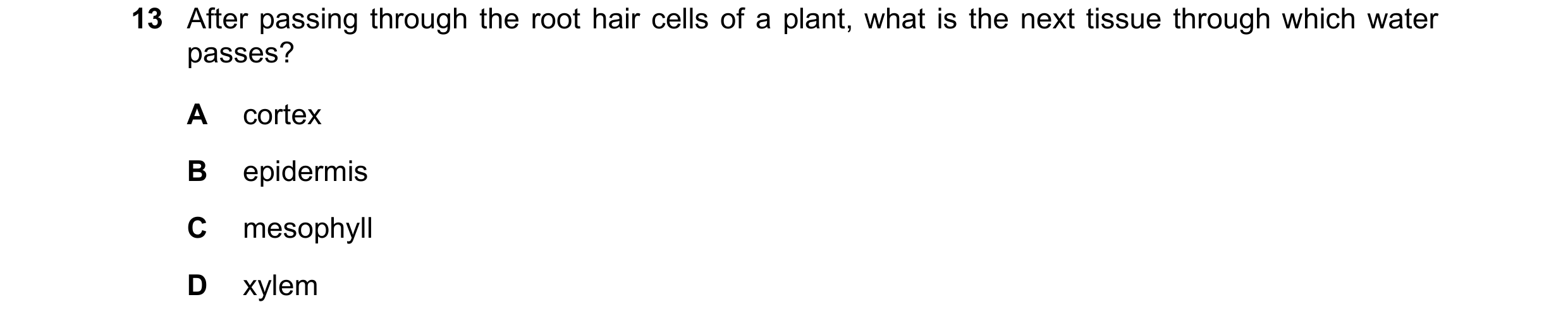 Question 4: After passing through the root hair cells of a plant, what is the next tissue through which water passes? A cortex B epidermis C mesophyll …