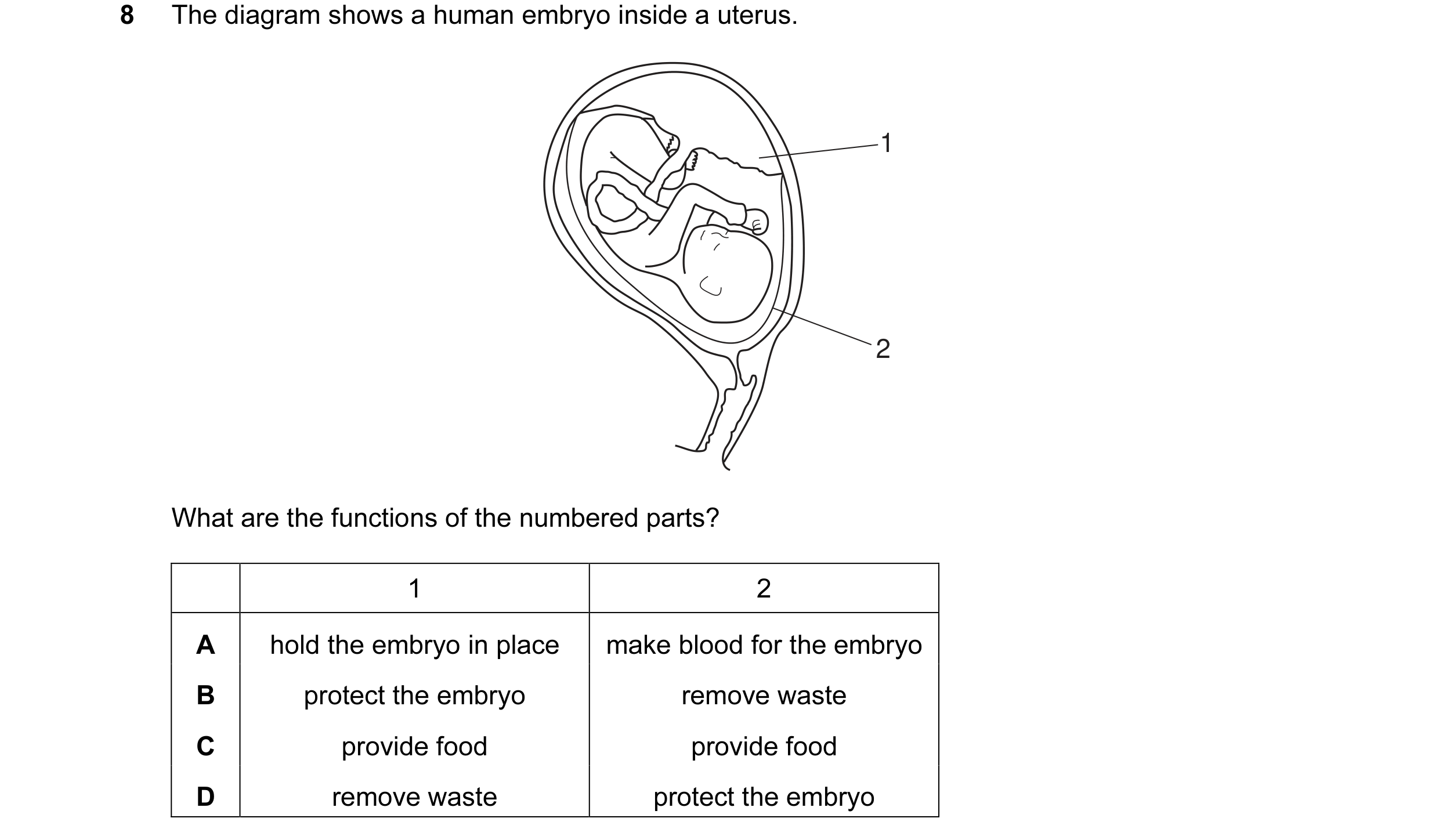 Question 10: The diagram shows a human embryo inside a uterus. 1 2 What are the functions of the numbered parts? 1 2 A hold the embryo in place make blo…