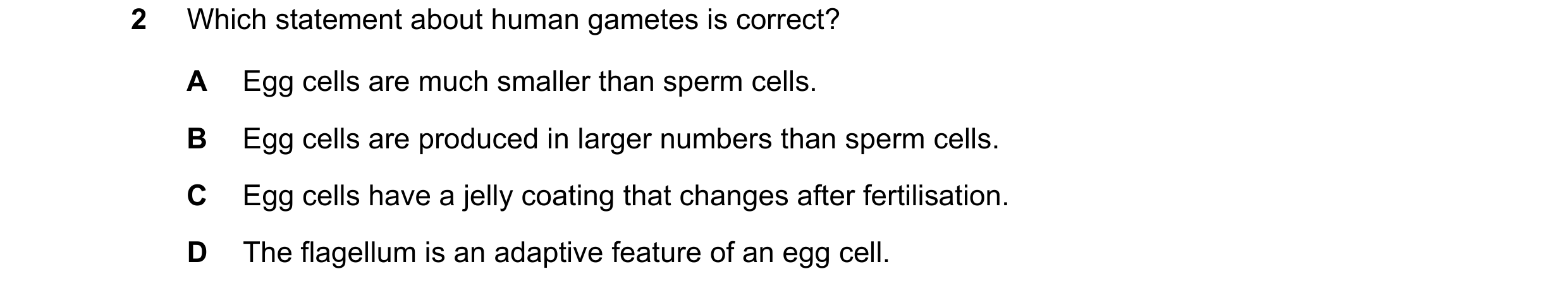 Question 21: Which statement about human gametes is correct? A Egg cells are much smaller than sperm cells. B Egg cells are produced in larger numbers t…
