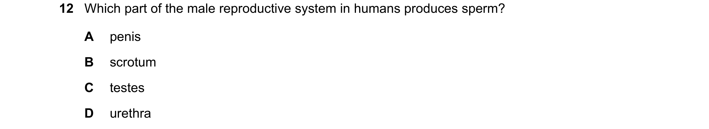 Question 74: Which part of the male reproductive system in humans produces sperm? A penis B scrotum C testes D urethra