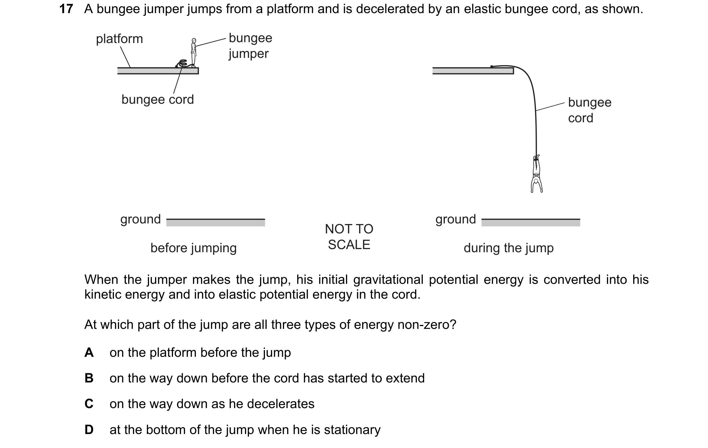 Question 138: A bungee jumper jumps from a platform and is decelerated by an elastic bungee cord, as shown. platform bungee jumper bungee cord bungee cor…