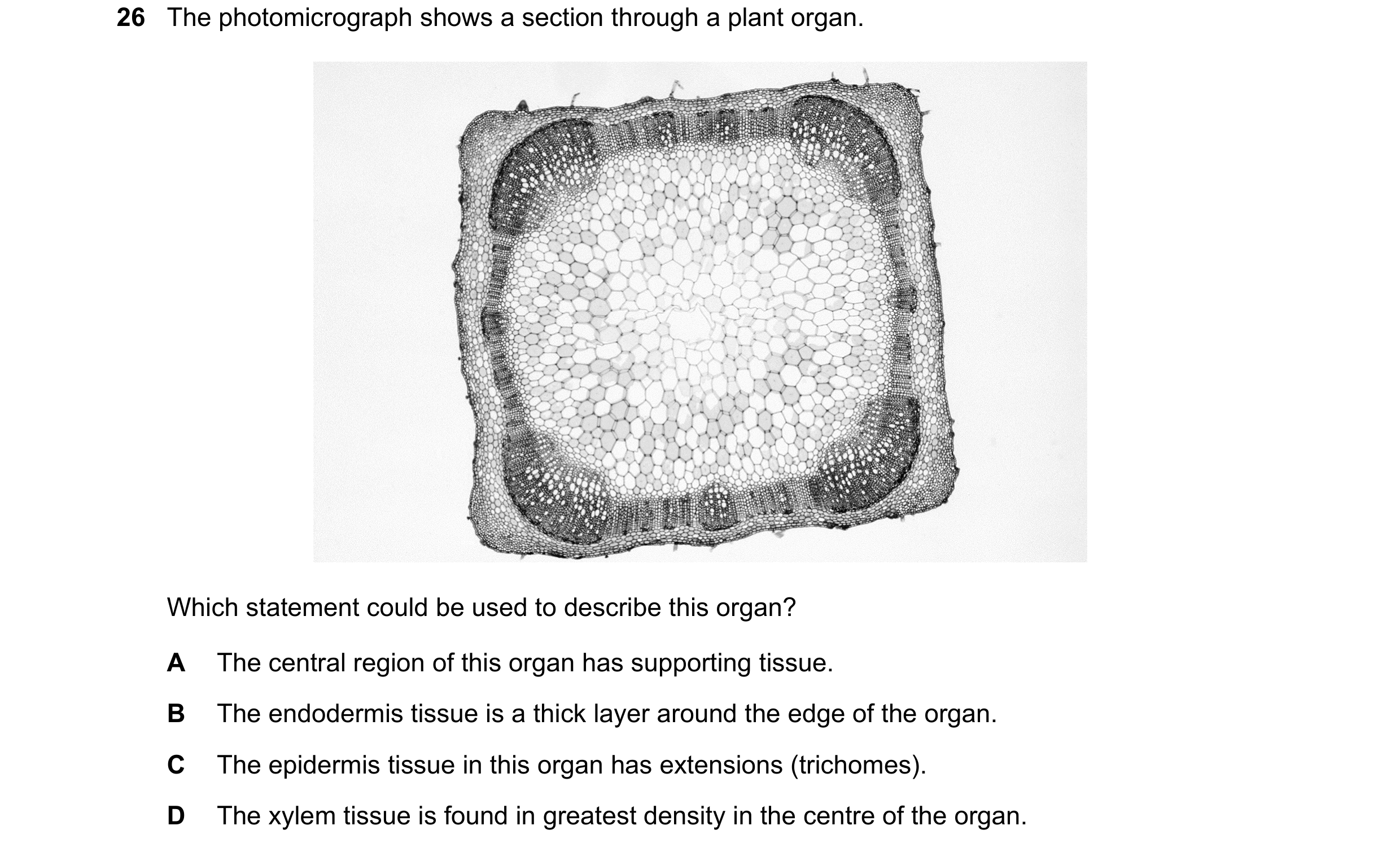 Question 96: The photomicrograph shows a section through a plant organ. Which statement could be used to describe this organ? A The central region of th…