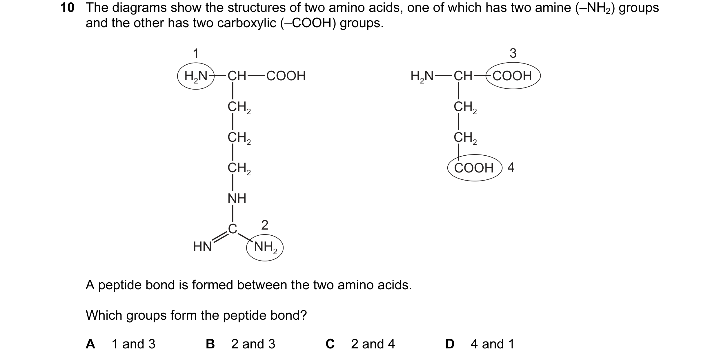 Question 101: The diagrams show the structures of two amino acids, one of which has two amine (–NH2) groups and the other has two carboxylic (–COOH) grou…