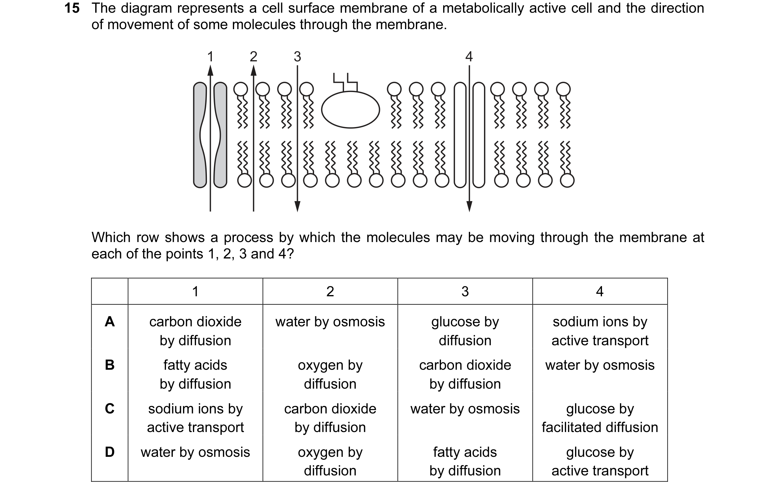 Question 107: The diagram represents a cell surface membrane of a metabolically active cell and the direction of movement of some molecules through the m…