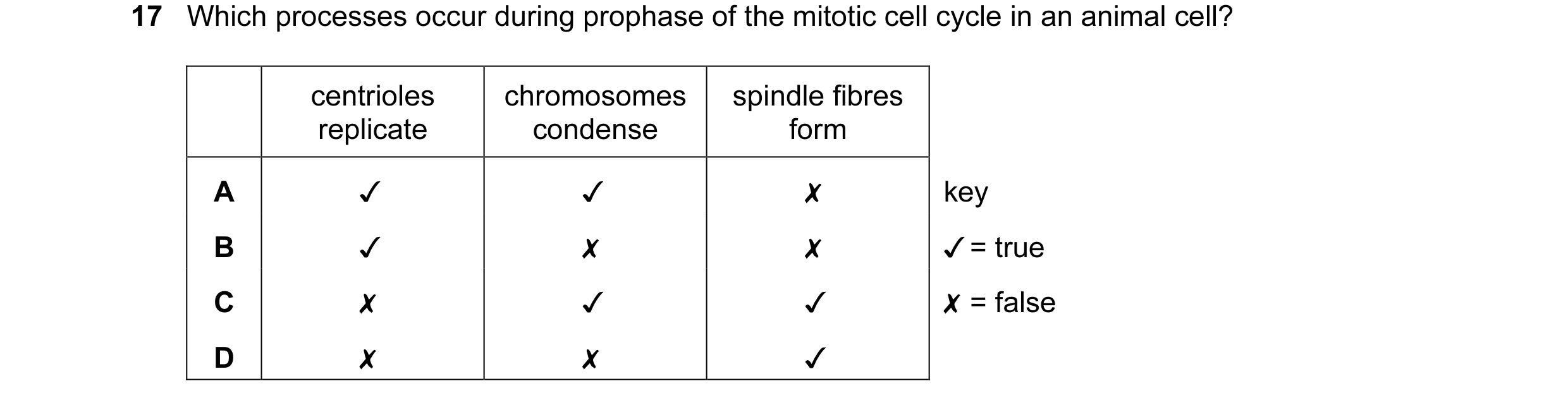 Question 46: Which processes occur during prophase of the mitotic cell cycle in an animal cell?
centrioles chromosomes | spindle fibres
replicate conde…