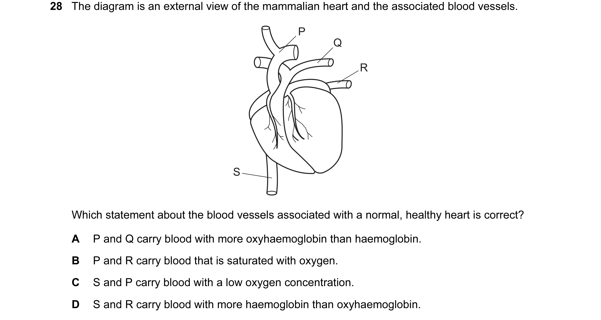 Question 63: The diagram is an external view of the mammalian heart and the associated blood vessels. P Q R S Which statement about the blood vessels as…