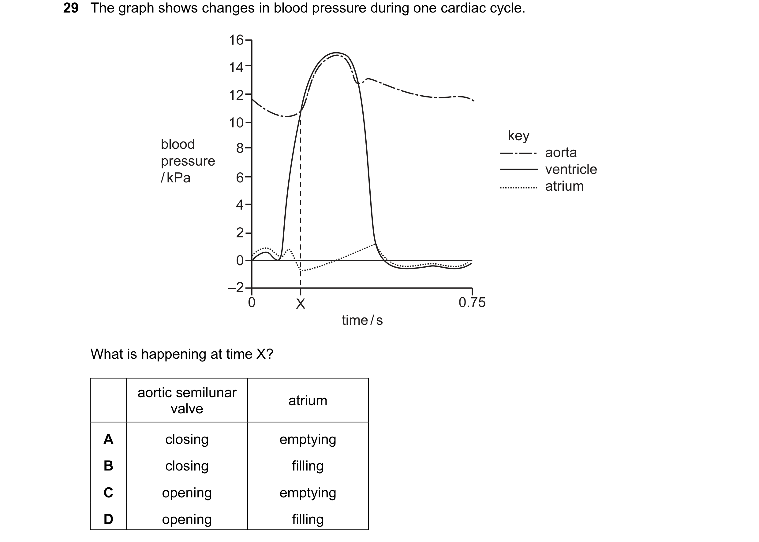 Question 61: The graph shows changes in blood pressure during one cardiac cycle. 16 14 12 10 key blood 8 aorta pressure ventricle / kPa 6 atrium 4 2 0 –…