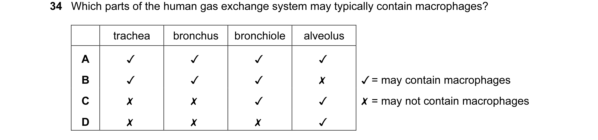 Question 112: Which parts of the human gas exchange system may typically contain macrophages?
0 0O WwW >
trachea
~ « &
bronchus
x «KX
bronchiole
~…