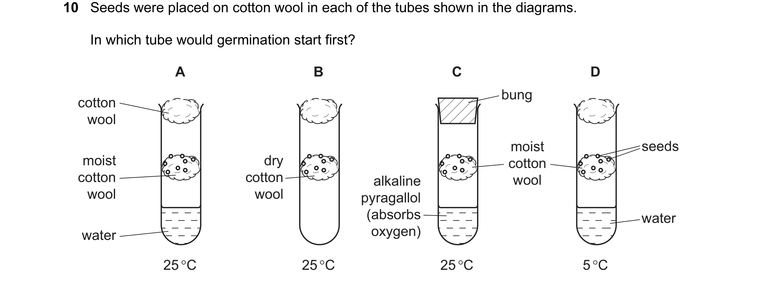 Question 20: Seeds were placed on cotton wool in each of the tubes shown in the diagrams. In which tube would germination start first? A B C D bung cott…