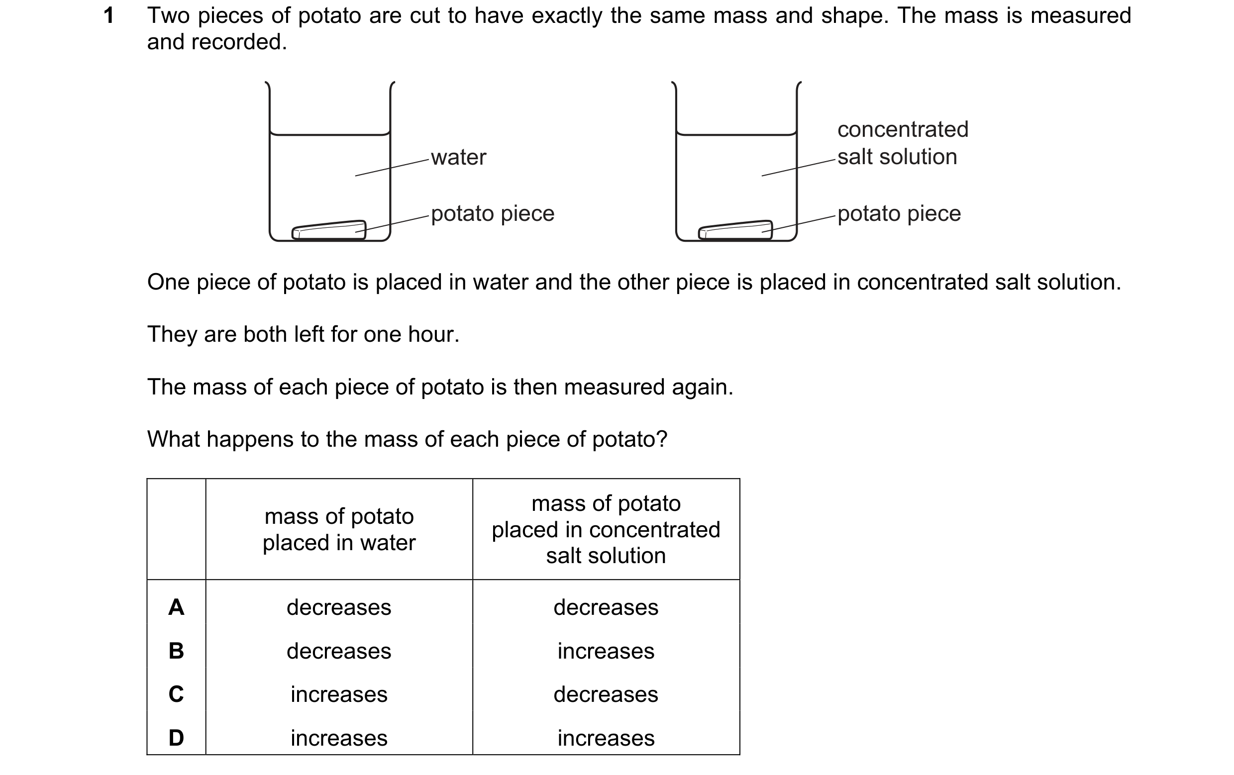Question 10: Two pieces of potato are cut to have exactly the same mass and shape. The mass is measured and recorded. concentrated water salt solution p…