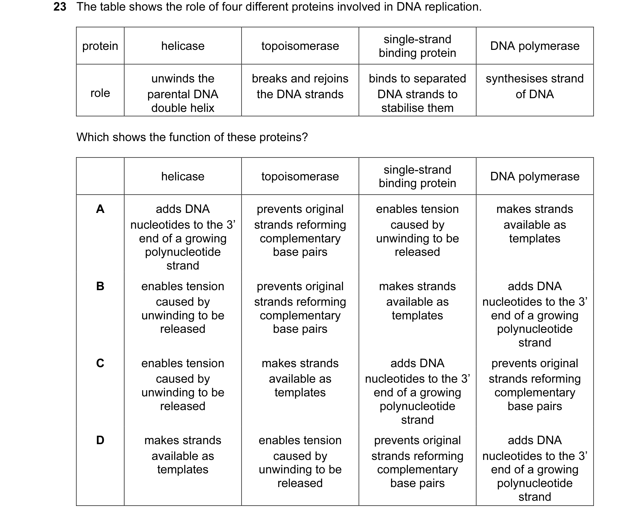 Question 31: The table shows the role of four different proteins involved in DNA replication. single-strand protein helicase topoisomerase DNA polymeras…