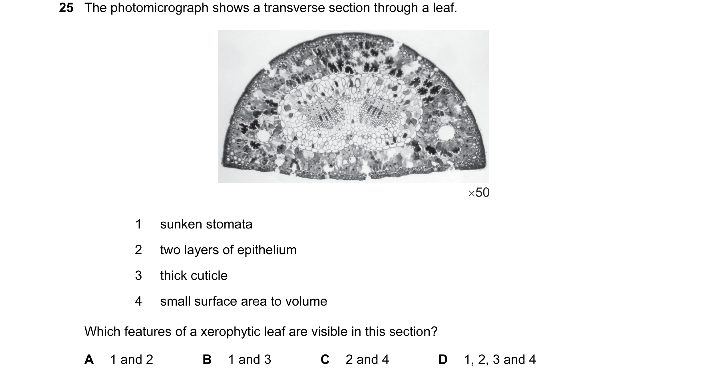 Question 15: The photomicrograph shows a transverse section through a leaf. ×50 1 sunken stomata 2 two layers of epithelium 3 thick cuticle 4 small surf…