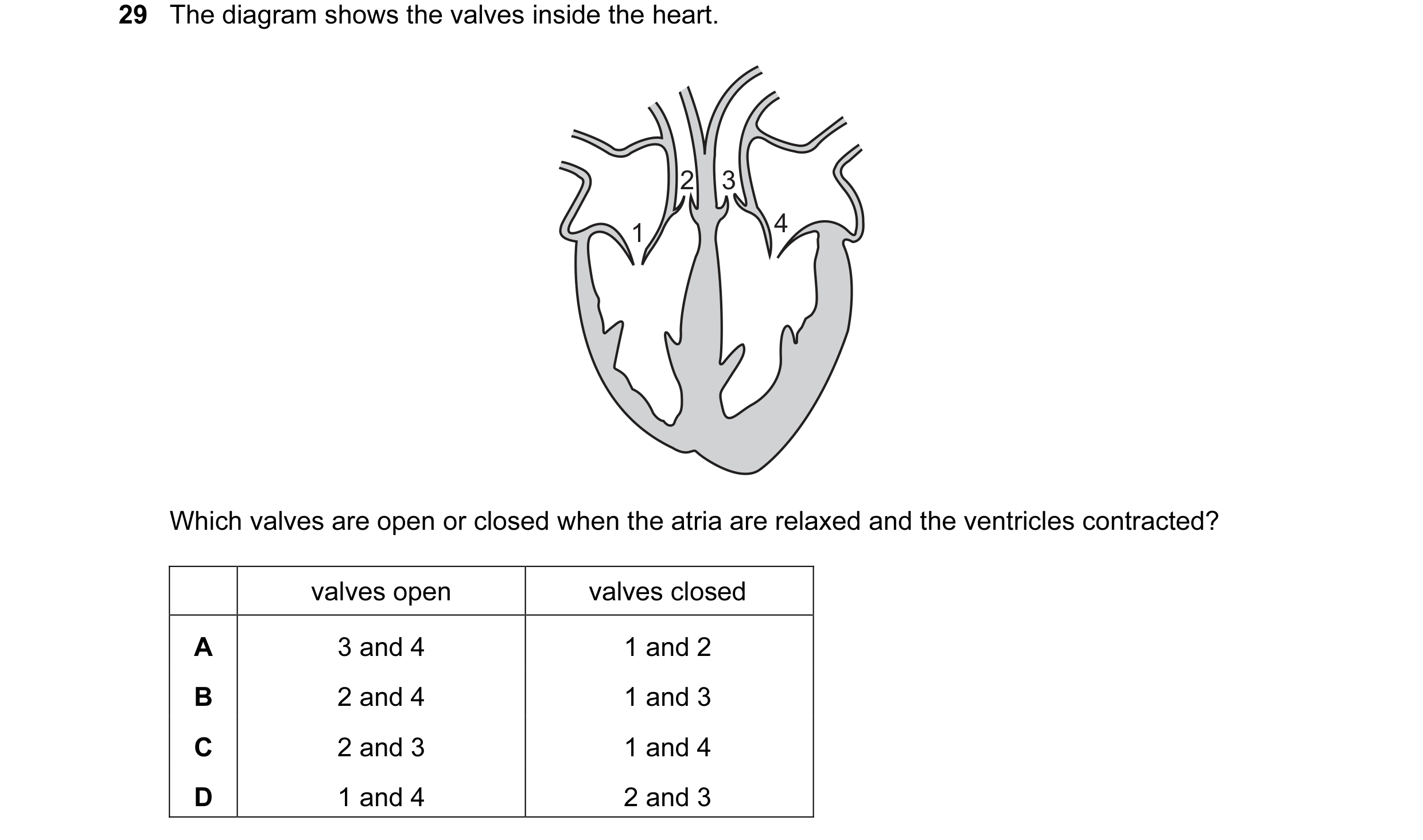 Question 15: The diagram shows the valves inside the heart. 2 3 1 4 Which valves are open or closed when the atria are relaxed and the ventricles contra…