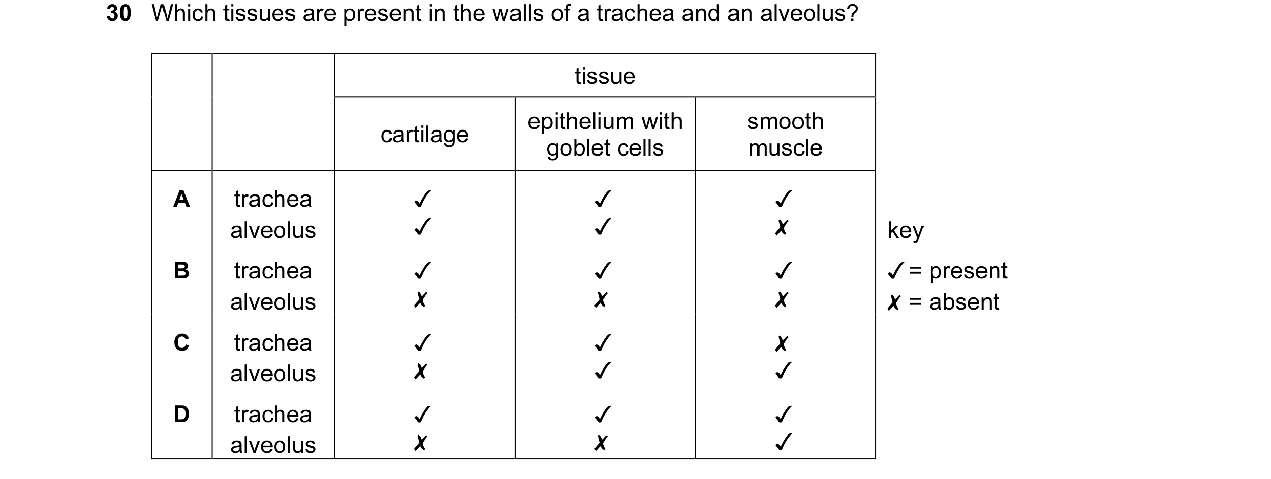 Question 28: Which tissues are present in the walls of a trachea and an alveolus?
tissue
. epithelium with smooth
cartilage
goblet cells muscle
A trach…
