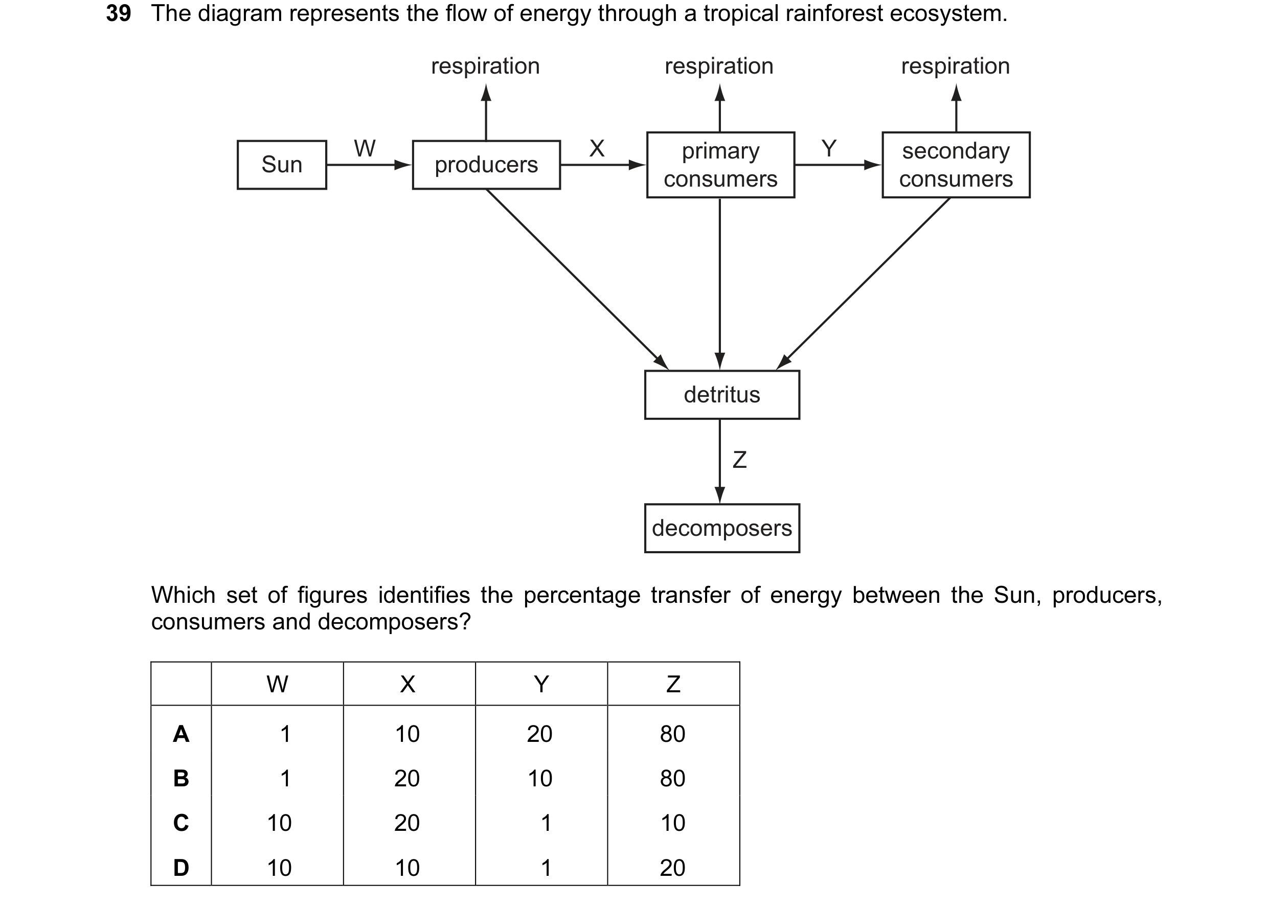 Question 6: The diagram represents the flow of energy through a tropical rainforest ecosystem. respiration respiration respiration W X primary Y second…