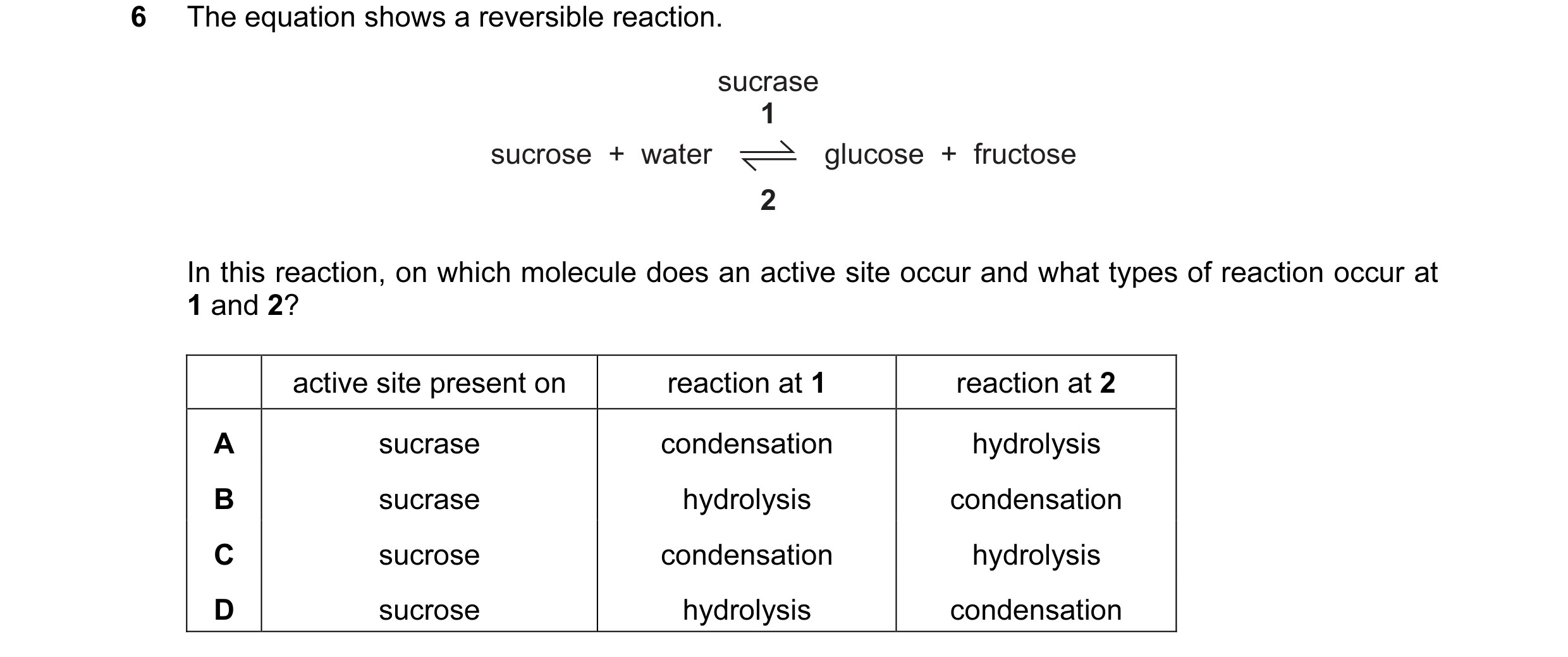 Question 7: The equation shows a reversible reaction. sucrase 1 sucrose  +  water glucose  +  fructose 2 In this reaction, on which molecule does an ac…