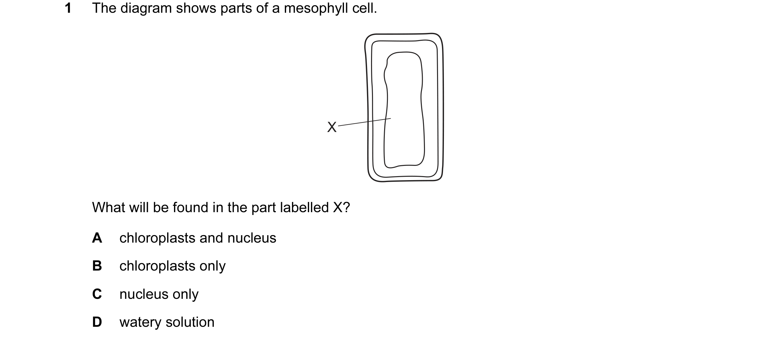 Question 26: The diagram shows parts of a mesophyll cell. X What will be found in the part labelled X? A chloroplasts and nucleus B chloroplasts only C …