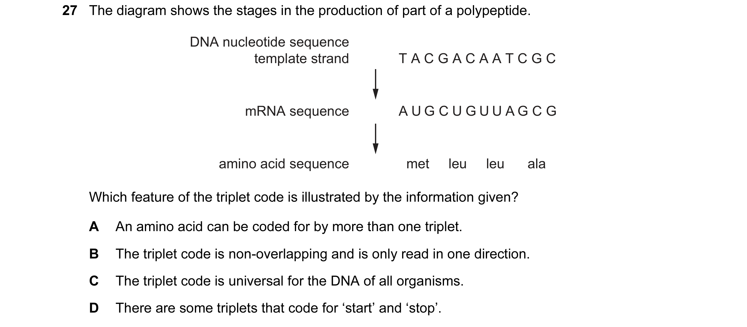 Question 94: The diagram shows the stages in the production of part of a polypeptide. DNA nucleotide sequence template strand T A C G A C A A T C G C mR…