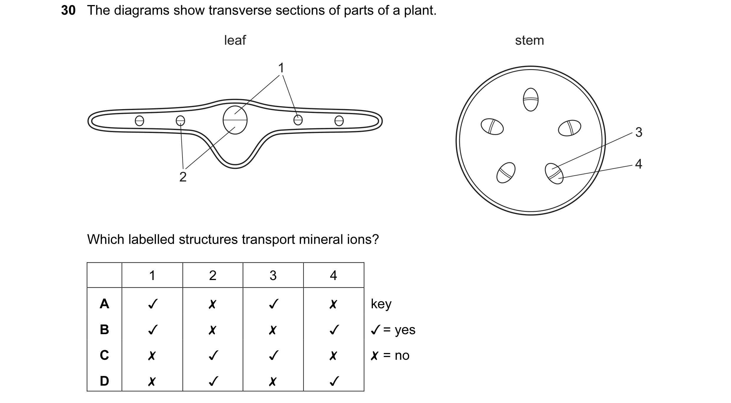 Question 45: The diagrams show transverse sections of parts of a plant.

leaf

Which labelled structures transport mineral ions?

1 2 3 4
A Jv x v x key…