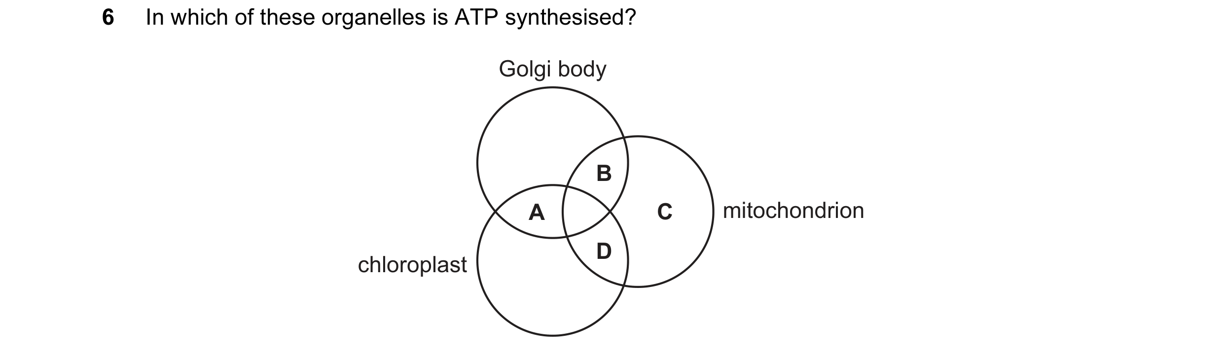 Question 7: In which of these organelles is ATP synthesised? Golgi body B A C mitochondrion D chloroplast