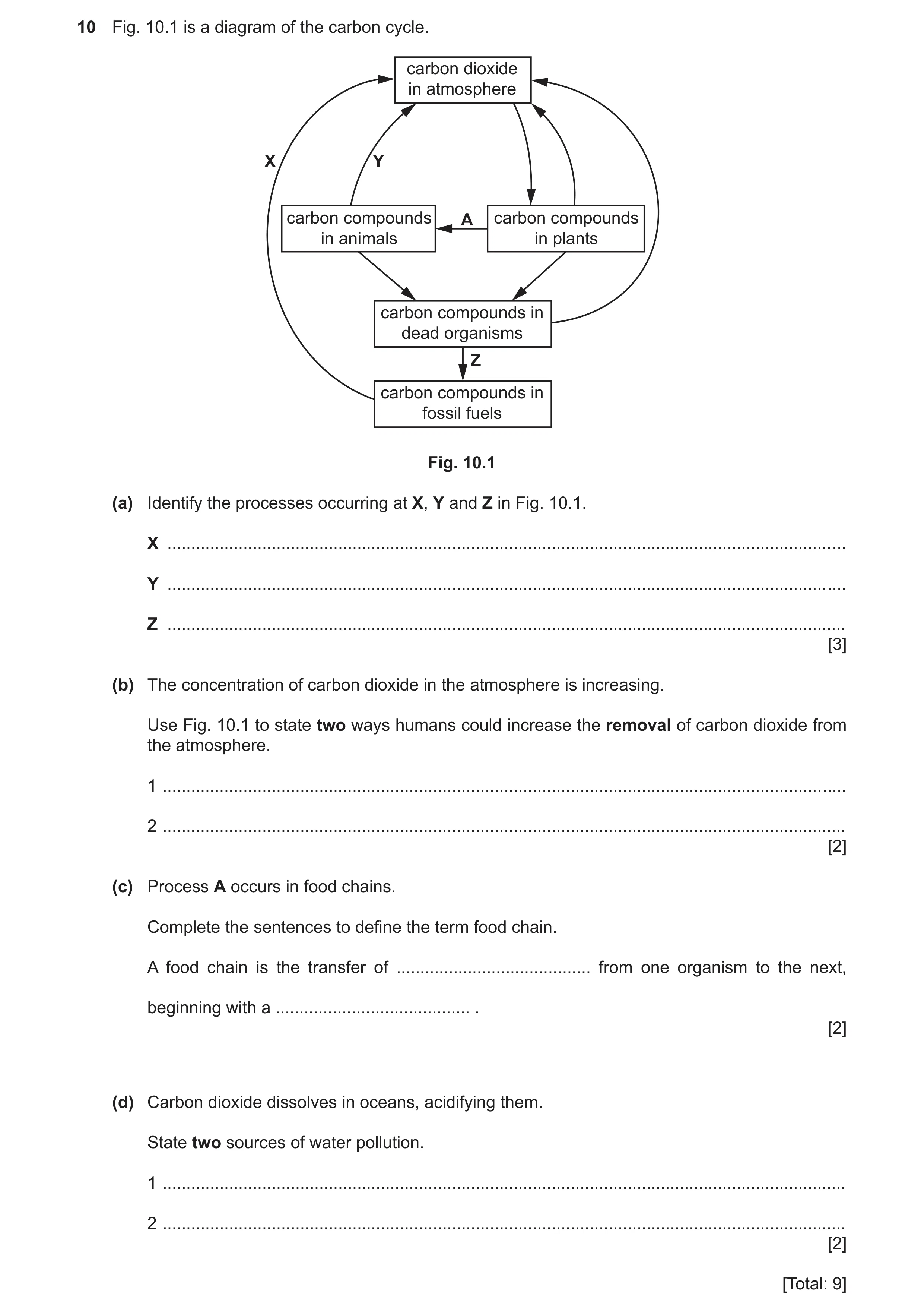 Question 15: Fig. 10.1 is a diagram of the carbon cycle. carbon dioxide in atmosphere X Y carbon compounds A carbon compounds in animals in plants carbo…