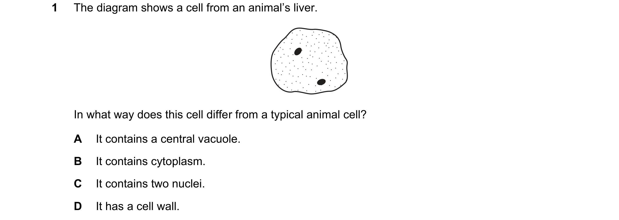 Question 24: The diagram shows a cell from an animal’s liver. In what way does this cell differ from a typical animal cell? A It contains a central vacu…