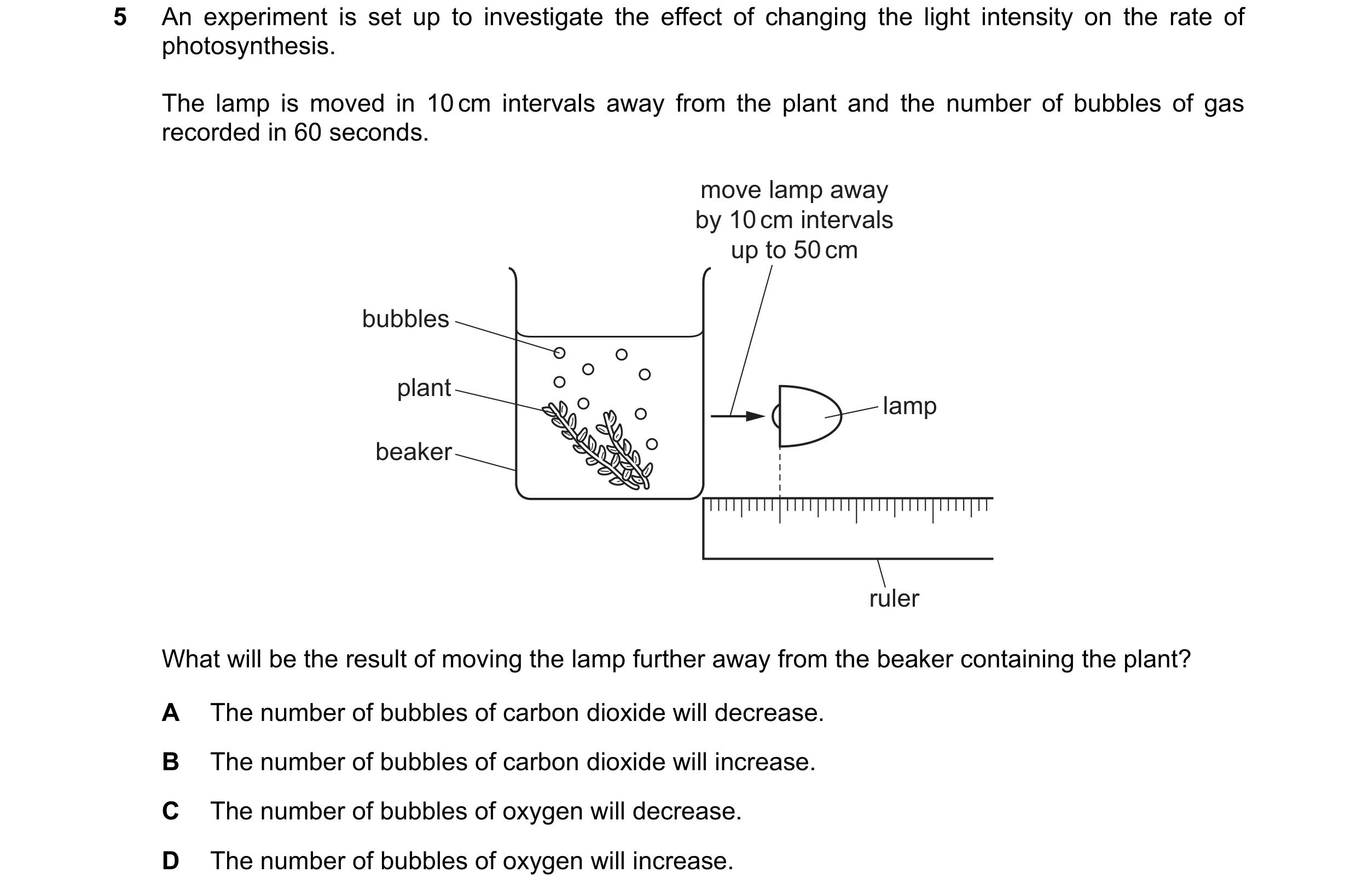Question 12: An experiment is set up to investigate the effect of changing the light intensity on the rate of photosynthesis. The lamp is moved in 10 cm…
