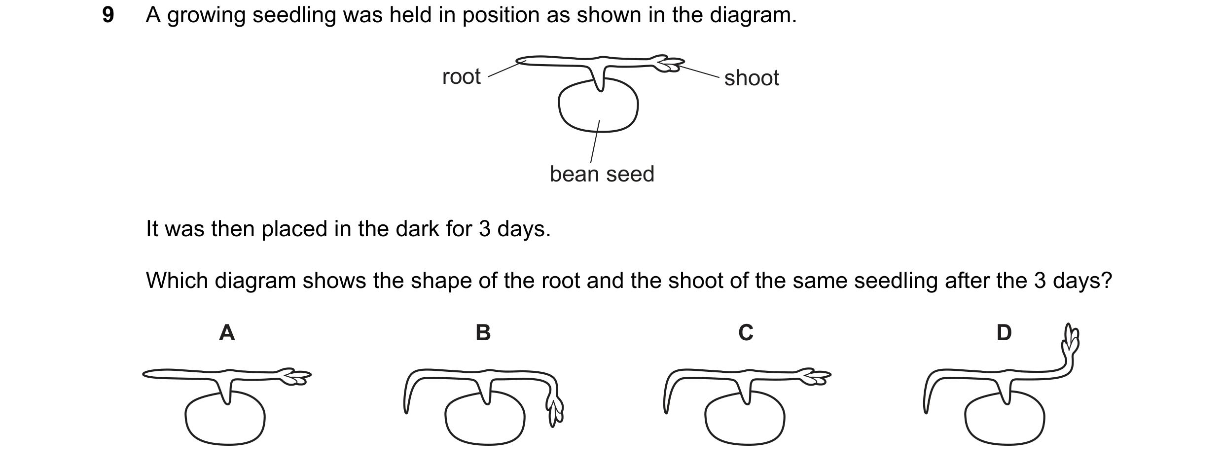 Question 59: A growing seedling was held in position as shown in the diagram. root shoot bean seed It was then placed in the dark for 3 days. Which diag…