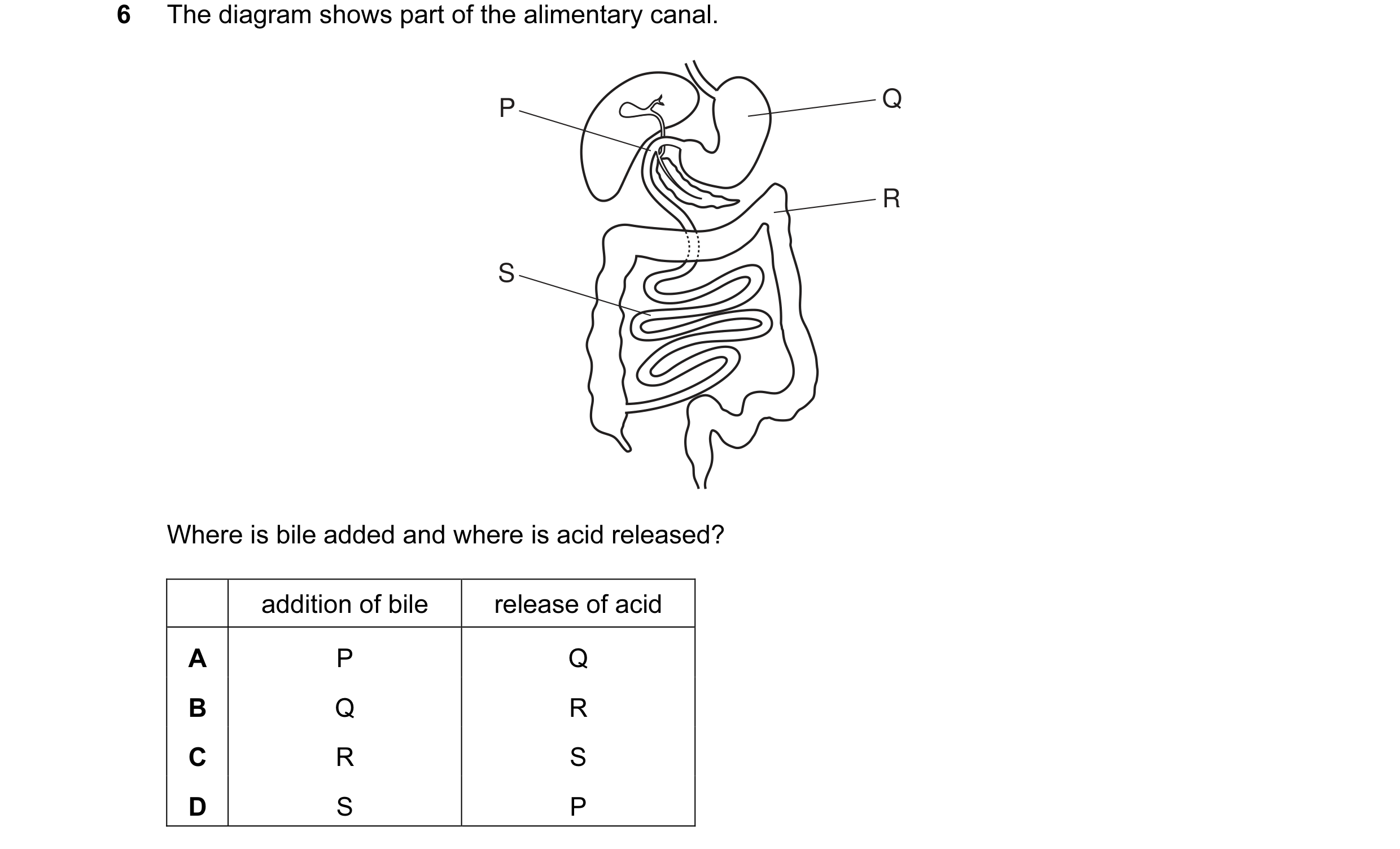 Question 7: The diagram shows part of the alimentary canal. P Q R S Where is bile added and where is acid released? addition of bile release of acid A …
