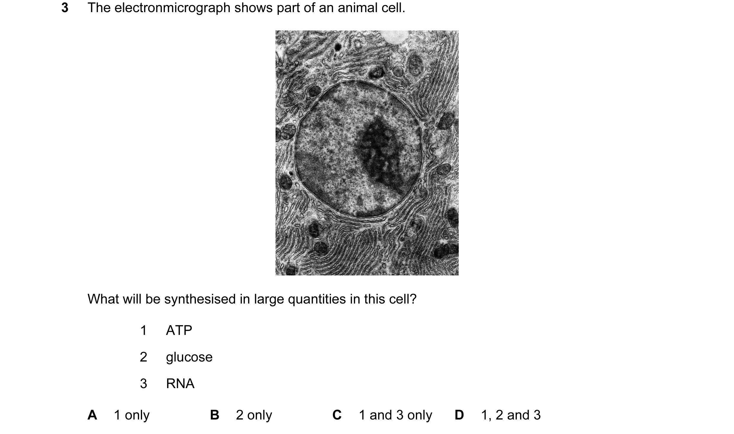 Question 85: The electronmicrograph shows part of an animal cell. What will be synthesised in large quantities in this cell? 1 ATP 2 glucose 3 RNA A 1 o…