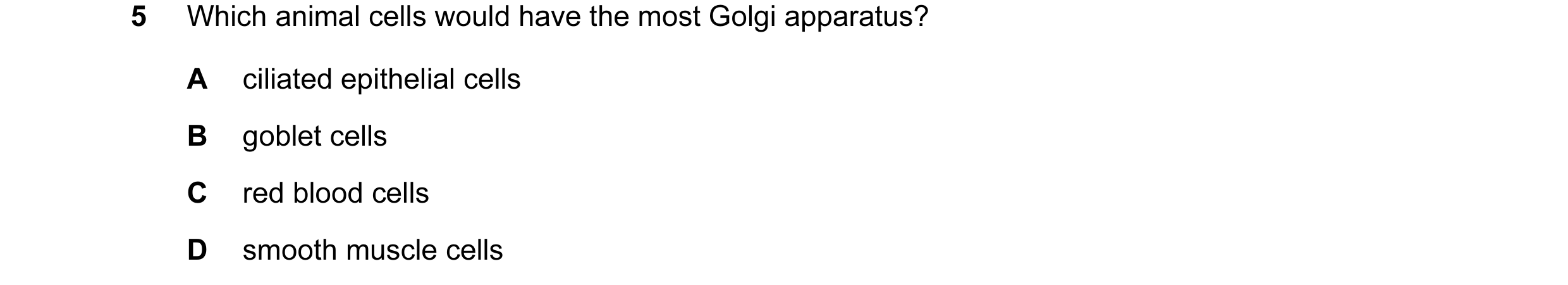 Question 87: Which animal cells would have the most Golgi apparatus? A ciliated epithelial cells B goblet cells C red blood cells D smooth muscle cells