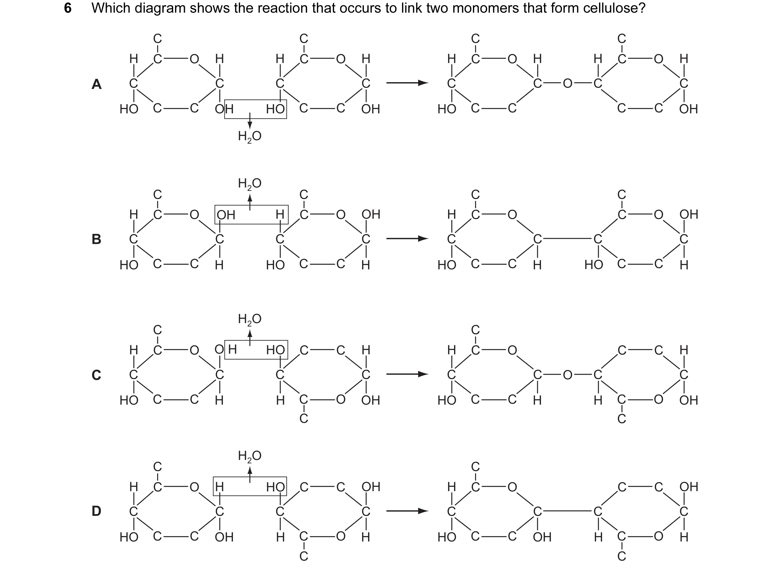 Question 94: Which diagram shows the reaction that occurs to link two monomers that form cellulose? C C C C H C O H H C O H H C O H H C O H A C C C C C …