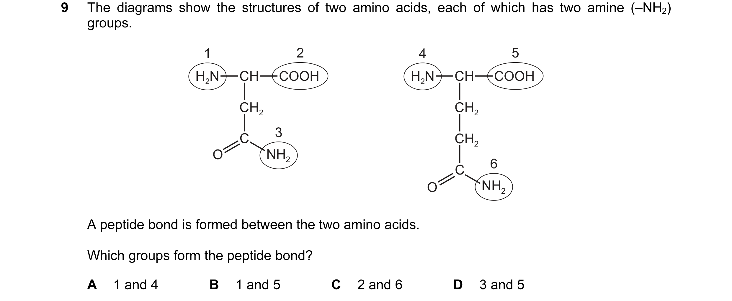 Question 63: The diagrams show the structures of two amino acids, each of which has two amine (–NH2) groups. 1 2 4 5 H2N CH COOH H2N CH COOH CH2 CH2 3 C…